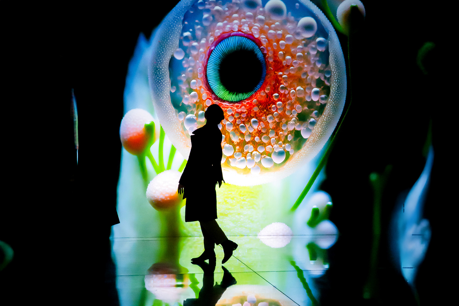 Illusionaries - 2